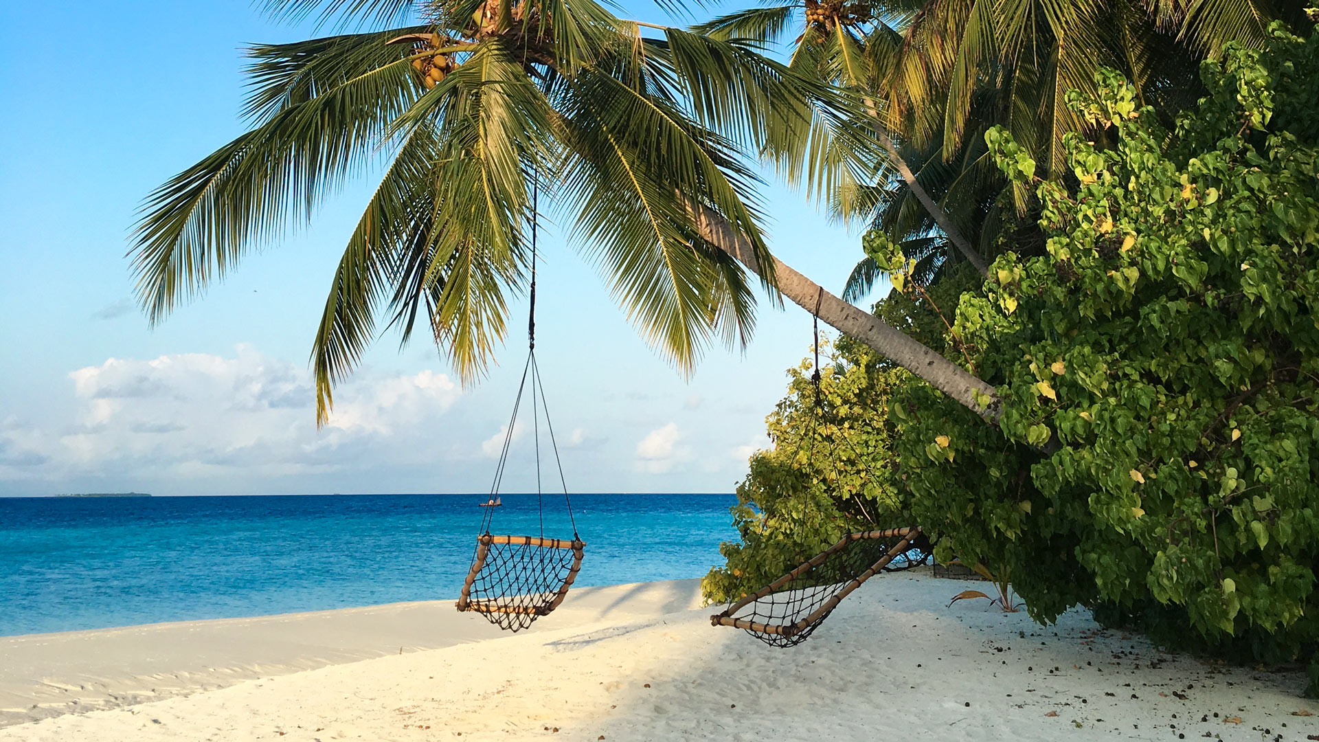 Maldives Sky Sea With Coconut Tree For Zoom Background FineShare 