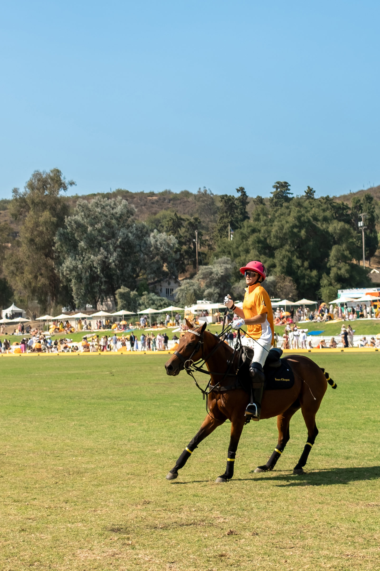 Will Rogers Los Angeles Polo